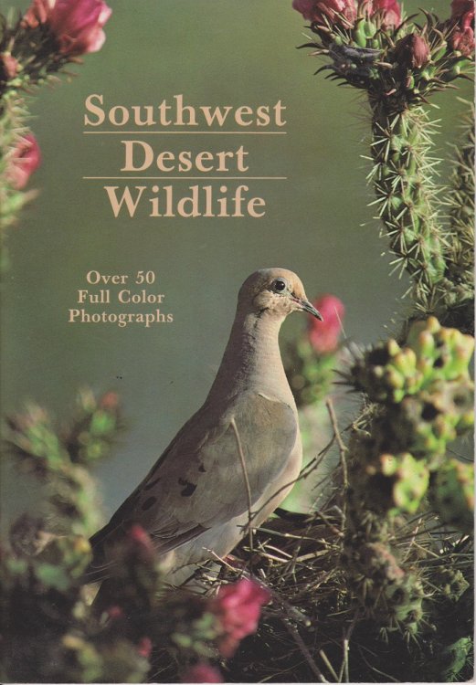 Southwest Desert Wildlife
