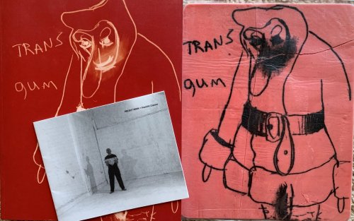 Trans > Arts. Cultures. Media No. 8 [Cover Title Trans Gum]