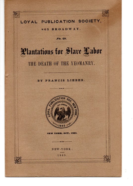 Plantations for Slave Labor. The Death of Yeomanry