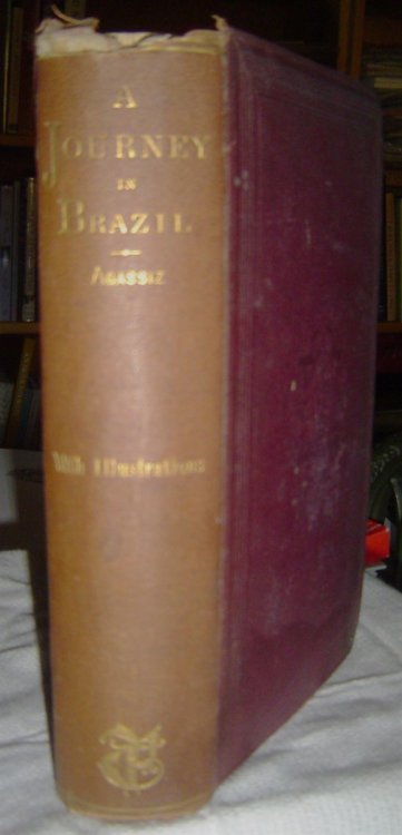 A Journey to Brazil