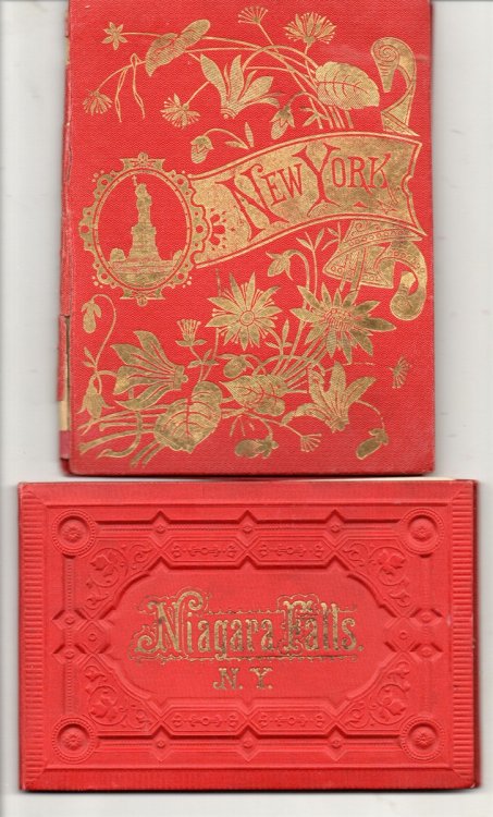 Two View Books: New York; Niagara Falls, 10 Views, Plus Travel Brochures.