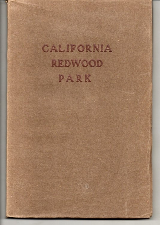 California Redwood Park Sometimes Called Sempervirens Park