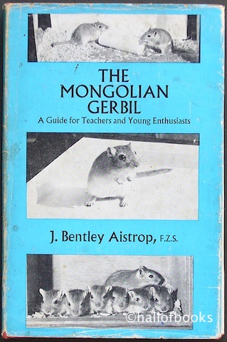 The Mongolian Gerbil: A Guide for Teachers and Young Enthusiasts