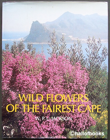 Wild Flowers Of The Fairest Cape