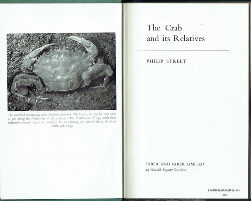 The Crab and its Relatives
