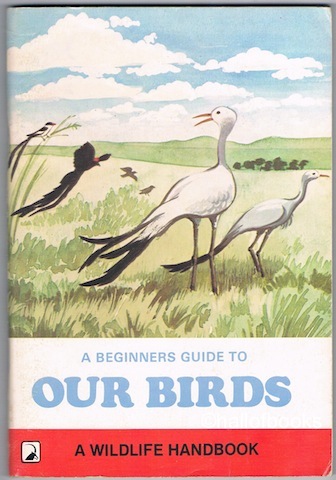 A Beginner's Guide To Our Birds
