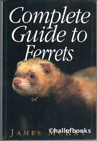 Complete Guide To Ferrets