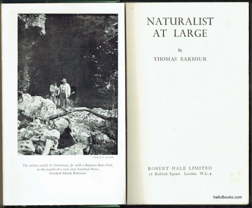 Naturalist At Large