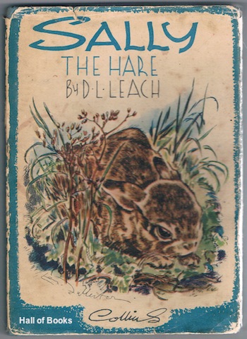 Sally The Hare