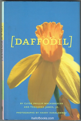 Daffodil