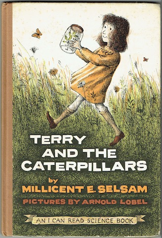 Terry And The Caterpillars