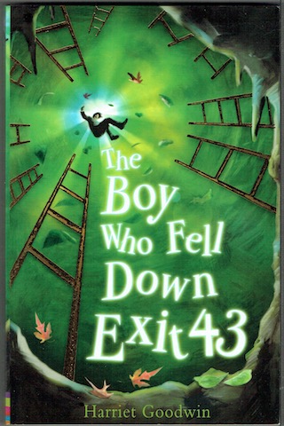 The Boy Who Fell Down Exit 43