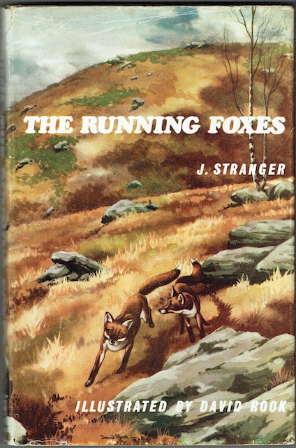 The Running Foxes