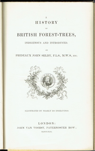 A History Of British Forest-Trees, Indigenous And Introduced