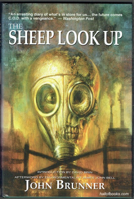 The Sheep Look Up