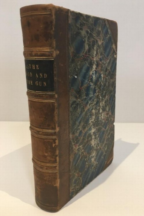 The Rod And The Gun Being Two Treatises on Angling And Shooting