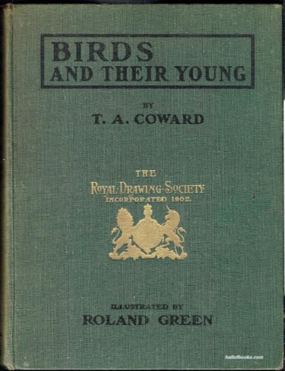 Birds And Their Young