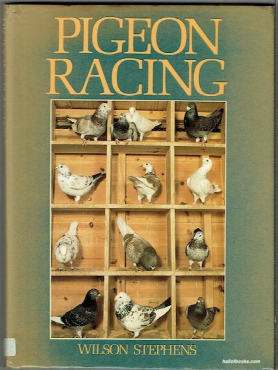 Pigeon Racing