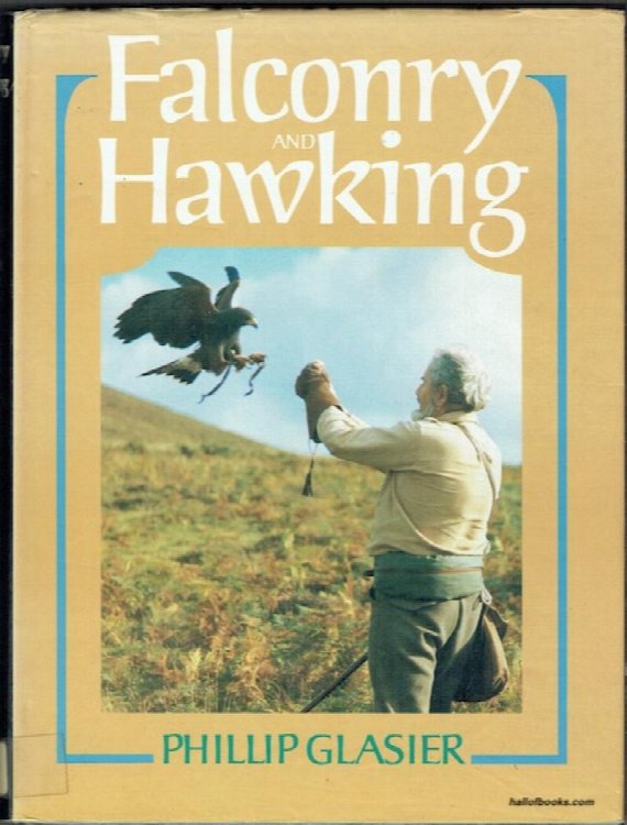 Falconry And Hawking