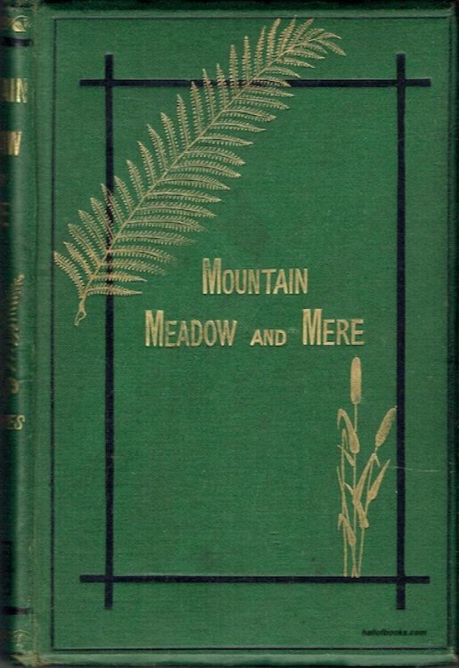 Mountain, Meadow, & Mere: A Series Of Outdoor Sketches Of Sport, Scenery, Adventures, And Natural History