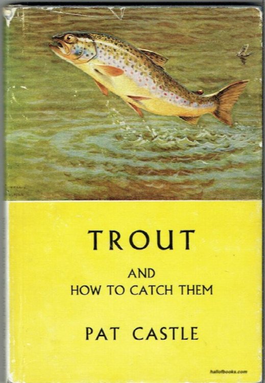 Trout And How To Catch Them