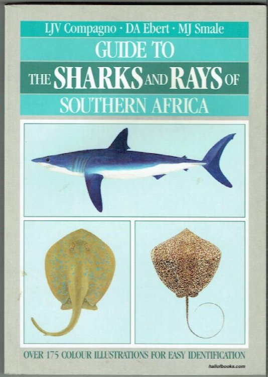 Guide To The Sharks And Rays Of Southern Africa