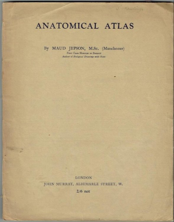 Anatomical Atlas
