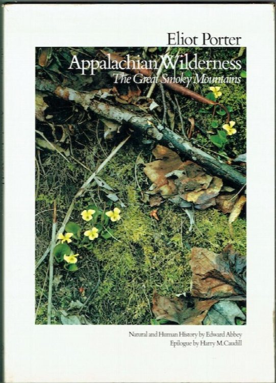 Appalachian Wilderness: The Great Smokey Mountains