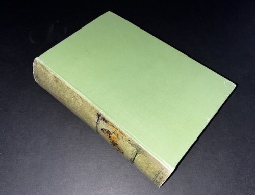 Butterfly Fairy Book