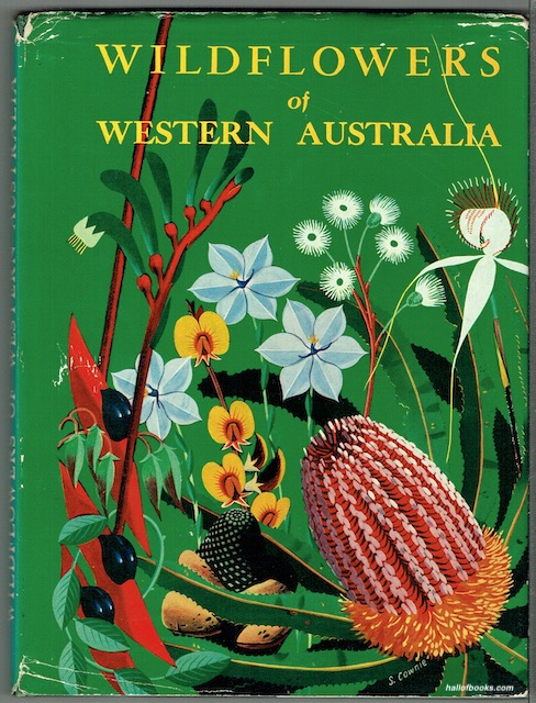 Wildflowers Of Western Australia