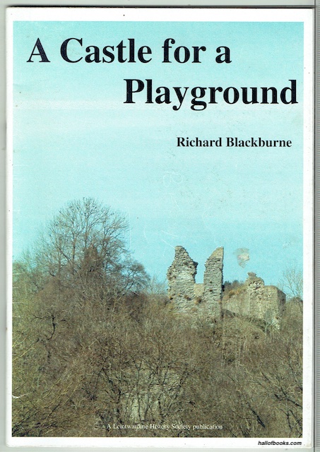 A Castle For A Playground