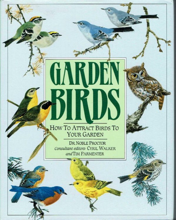 Garden Birds: How to Attract Birds to Your Garden
