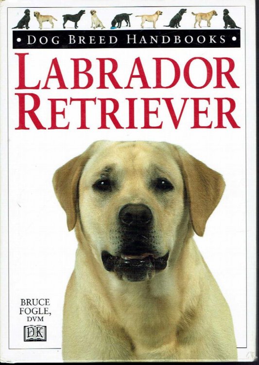 Labrador Retriever: Dog Breed Handbooks