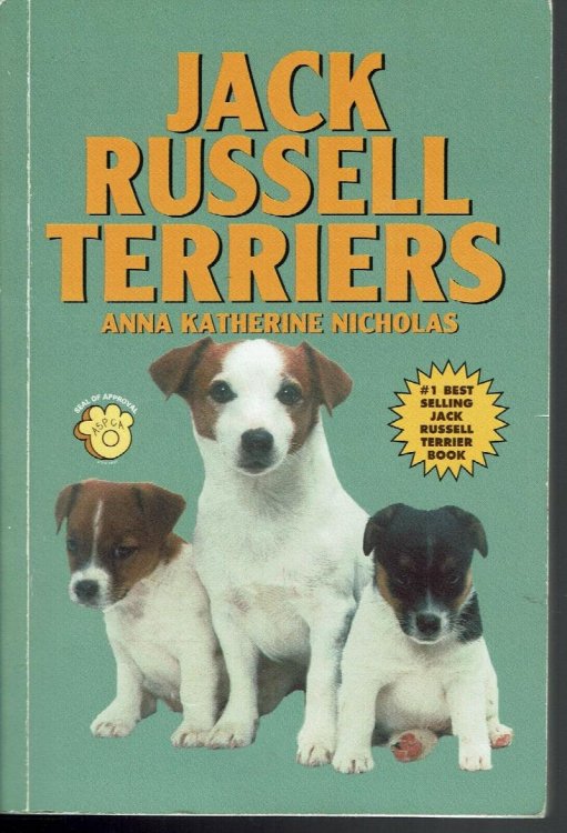 Jack Russell Terriers