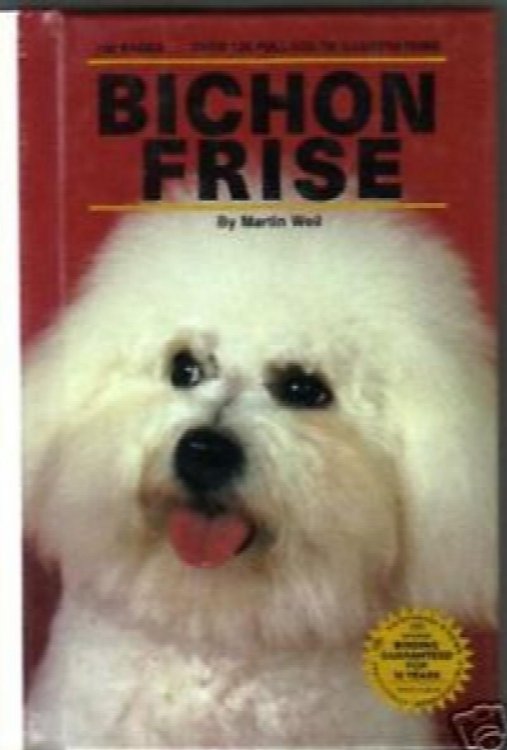 Bichon Frise