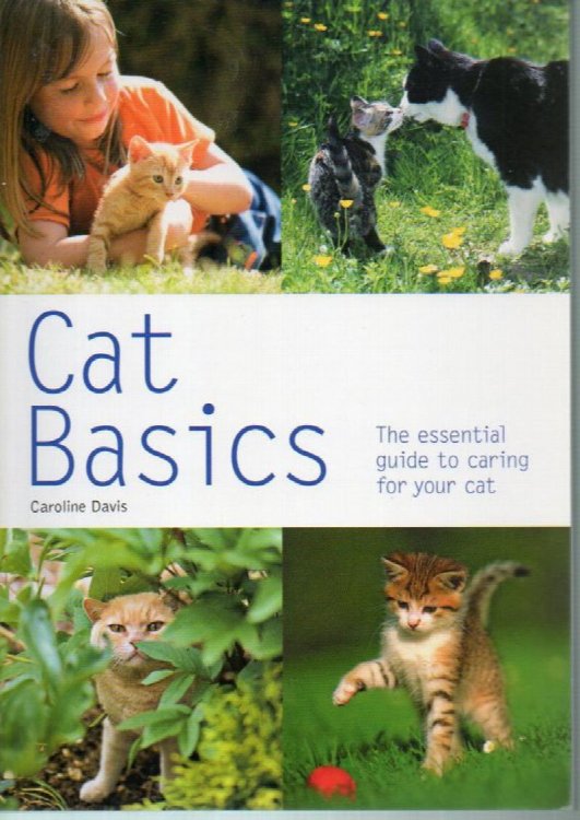 Cat Basics: the Essential Guide to Caring for Your Cat