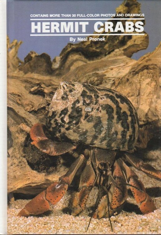 Hermit Crabs