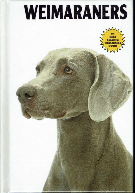 Weimaraners