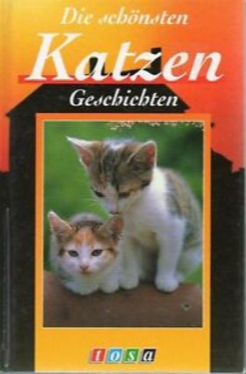 Die Schonsten Katzen Geschichten