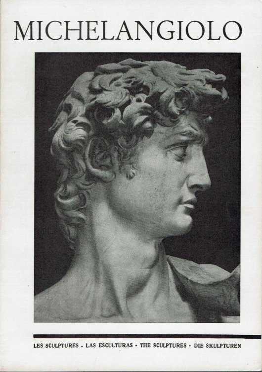Michelangiolo: The Sculptures