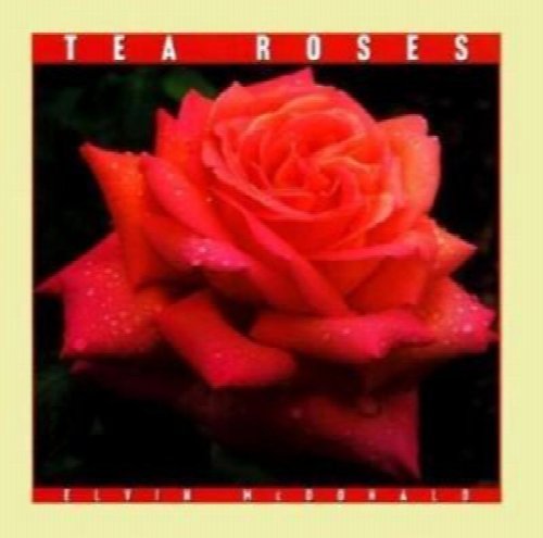 Tea Roses
