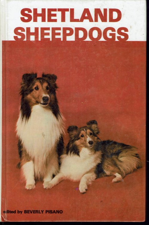 Shetland Sheepdogs