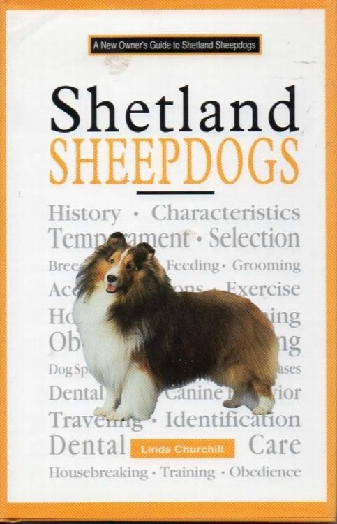 A New Owner's Guide to Shetland Sheepdogs