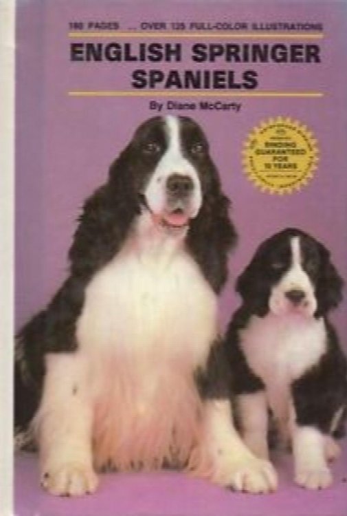 English Springer Spaniels