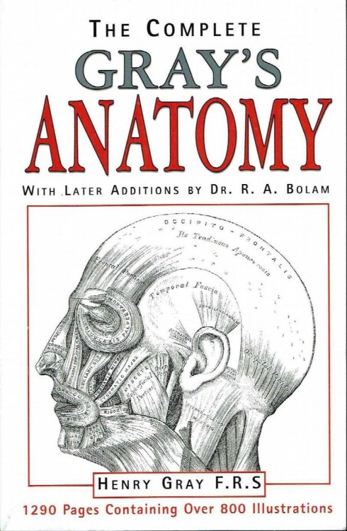 The Complete Gray's Anatomy