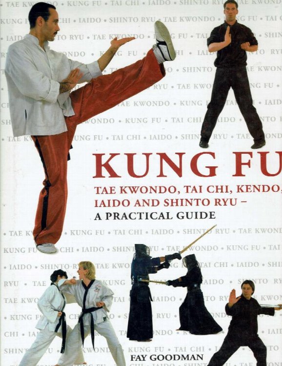 Kung Fu, Tae Kwondo, Tai Chi, Kendo, Iaido and Shinto Ryu--A Practical Guide