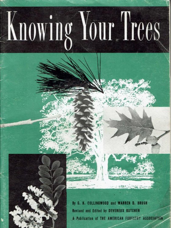 Knowing Your Trees