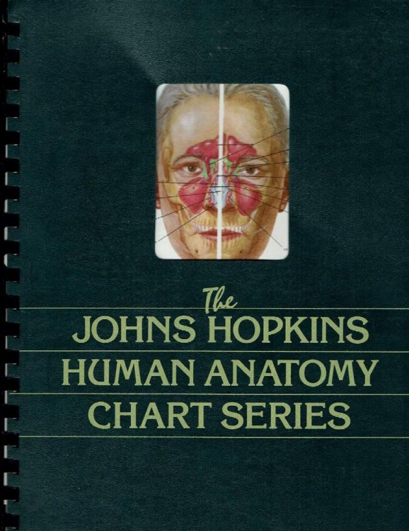 The Johns Hopkins Human Anatomy Chart Series