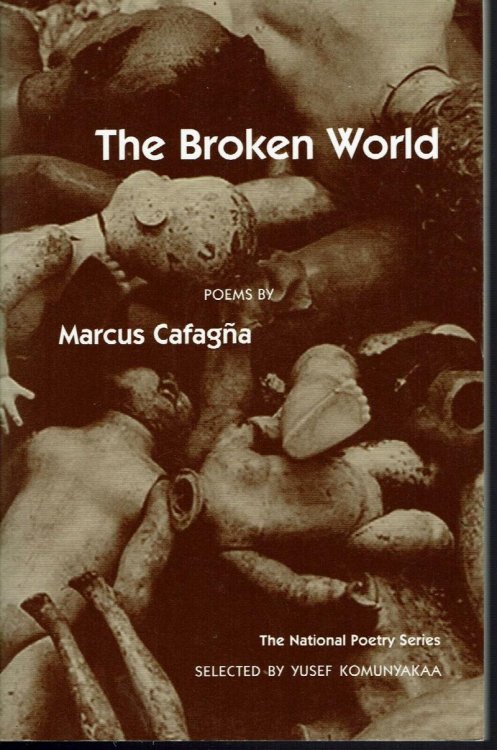 The Broken World: Poems