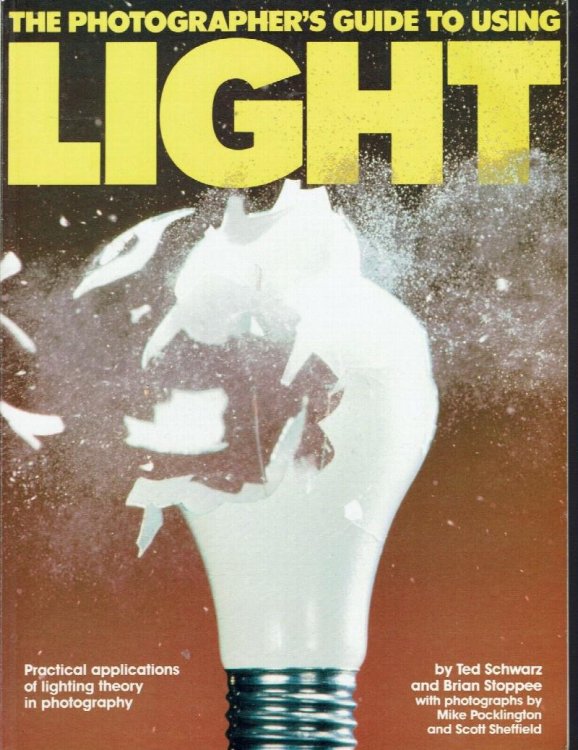 The Photographer's Guide to Using Light